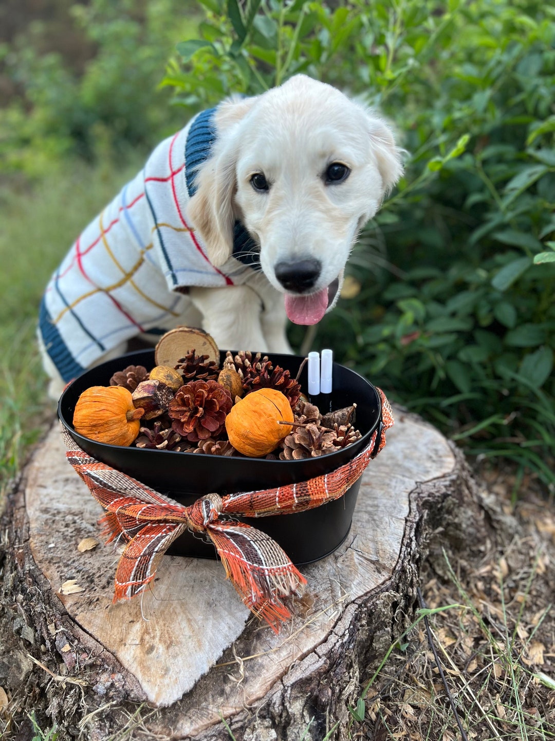 Small Fall Pails Fall Potpourri Pail- Large - Etsy