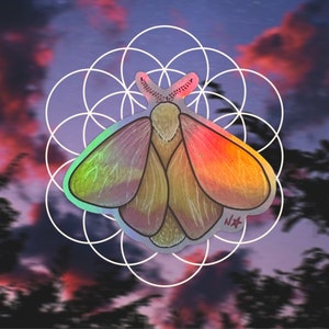 Rosy Maple Moth Sticker
