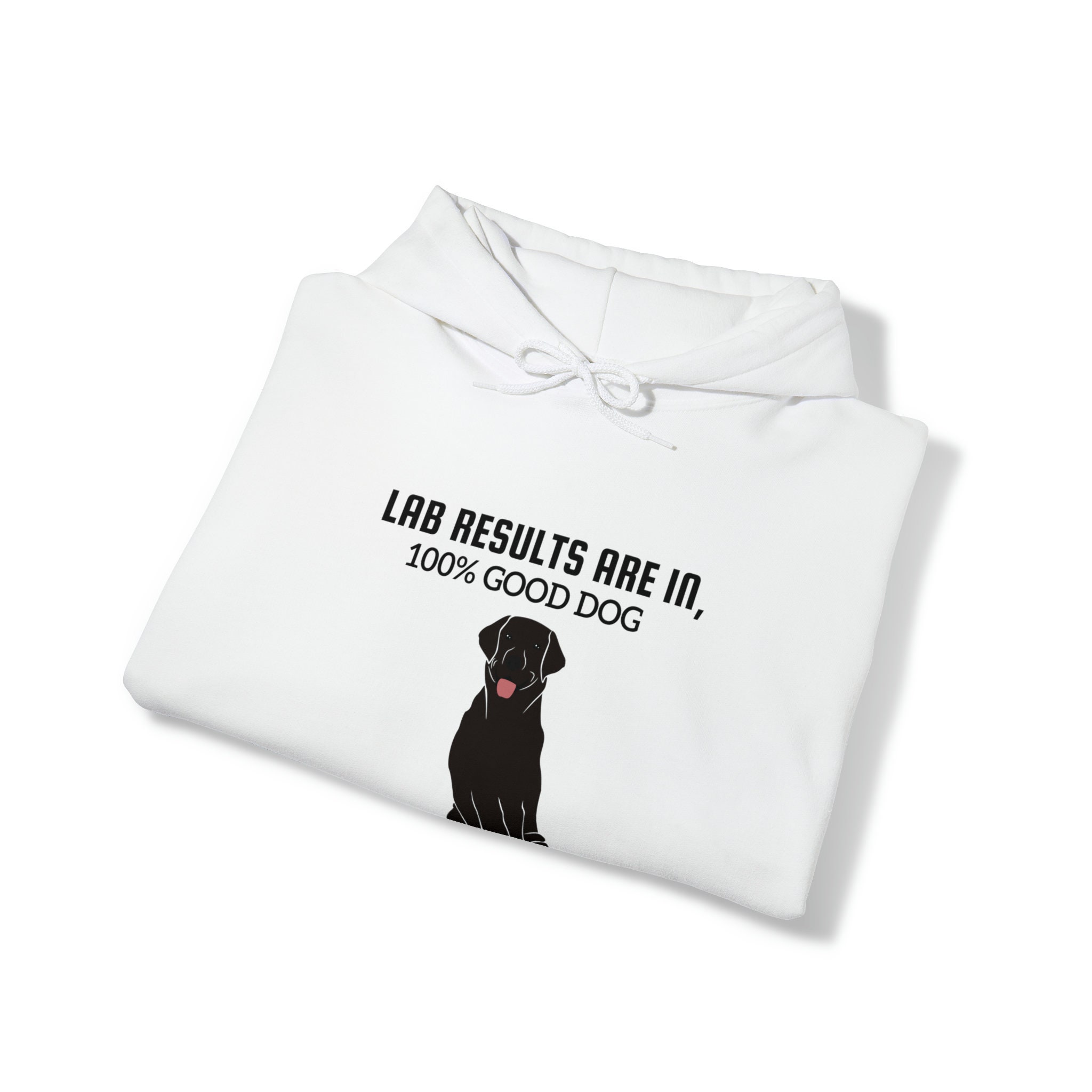 Black Labrador Hoodie, Black Labrador, Black Labrador Sweatshirt, Dog