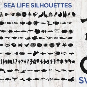 Más de 110 svg de océano separado, archivos cortados de océano, svg de mar, silueta de mar, silueta de océano, animales de océano svg, paquete de svg de océano, bajo el mar svg