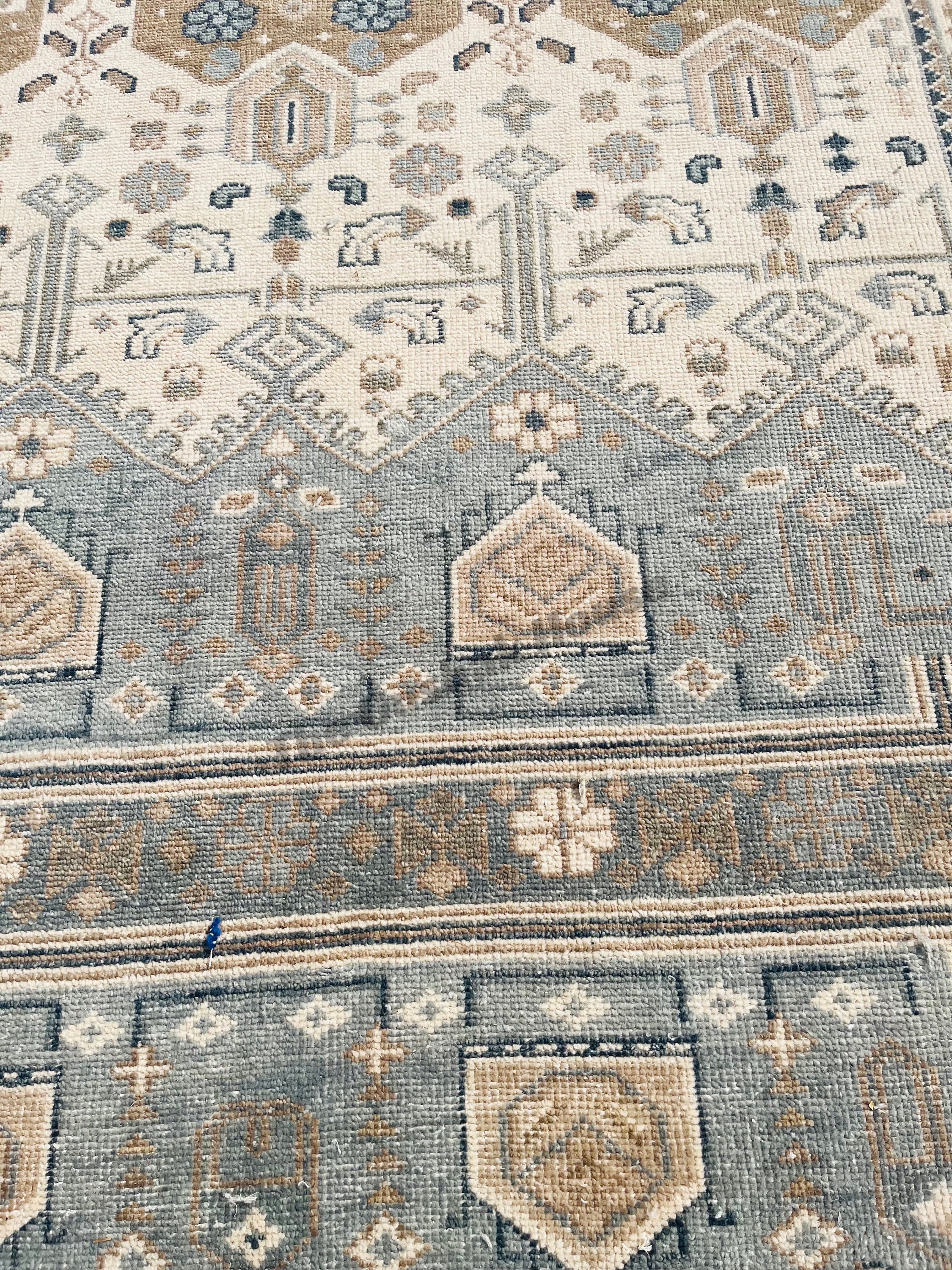 Pottery Barn Nicolette Hand Knotted Rug for Living Room, Bedroom