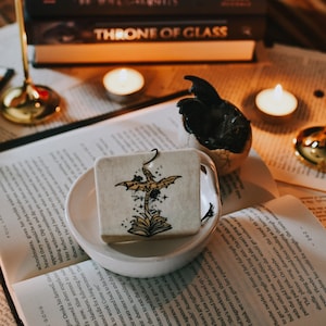 Book Dragon