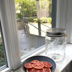 Dehydrated Grapefruit - Dried Grapefruit Wheels - Dehydrated Grapefruit Wheels