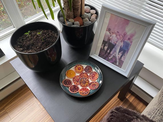 Bulk Dehydrated Blood Orange - Bulk Dried Blood Orange - Dried Blood Orange - Dehydrated Blood Orange