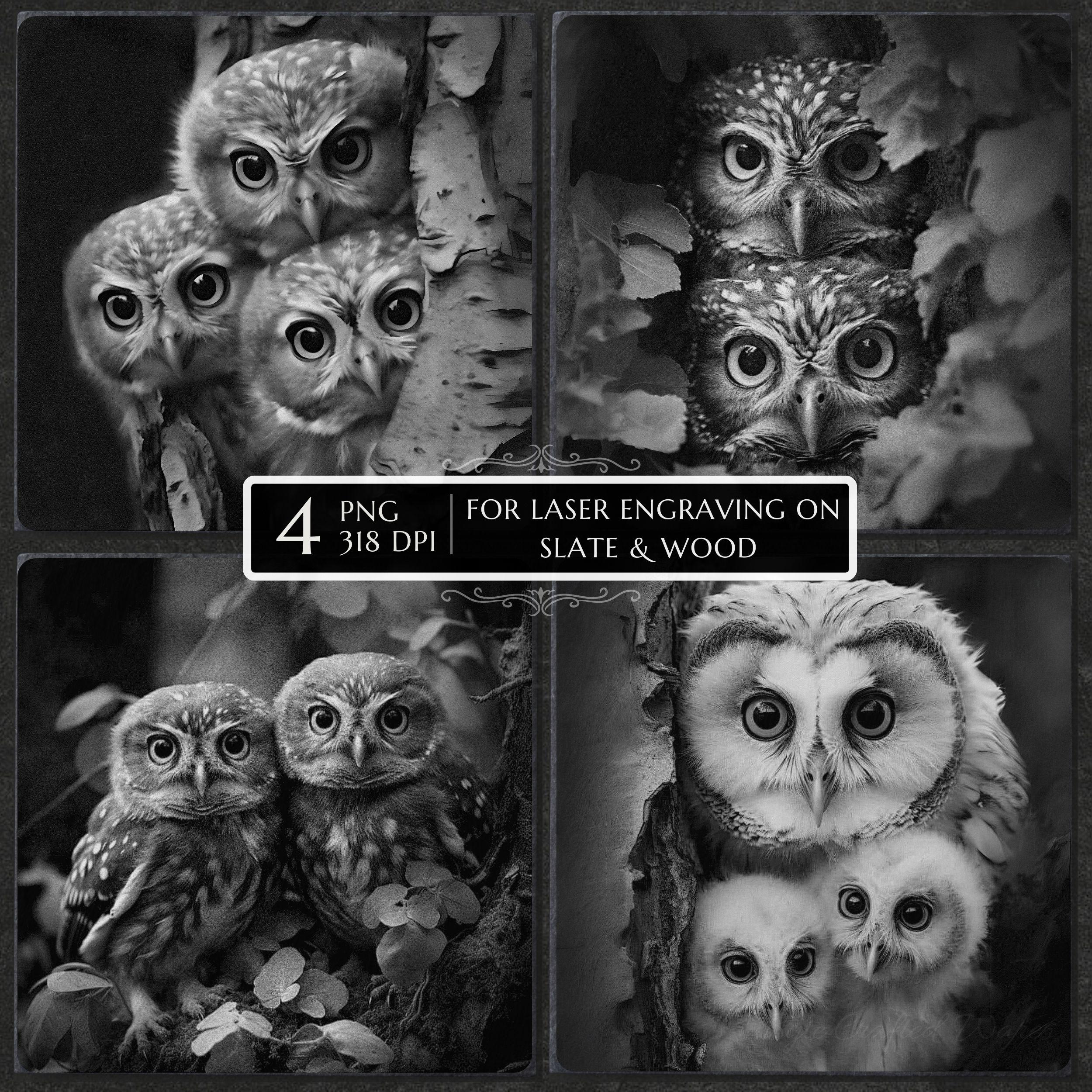 Baby Owl Laser Engraving PNG, Bird Owl Etching, Slate Coaster Etching File, Laser Burn File, Glowfor