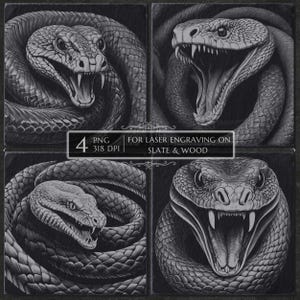 Może przedstawiać: Cztery kwadratowe obrazy szczegółowych ilustracji węży w skali szarości. Węże są zwinięte i mają otwarte paszcze, odsłaniając kły. Tekst brzmi "4 PNG 318 DPI FOR LASER ENGRAVING ON SLATE & WOOD".