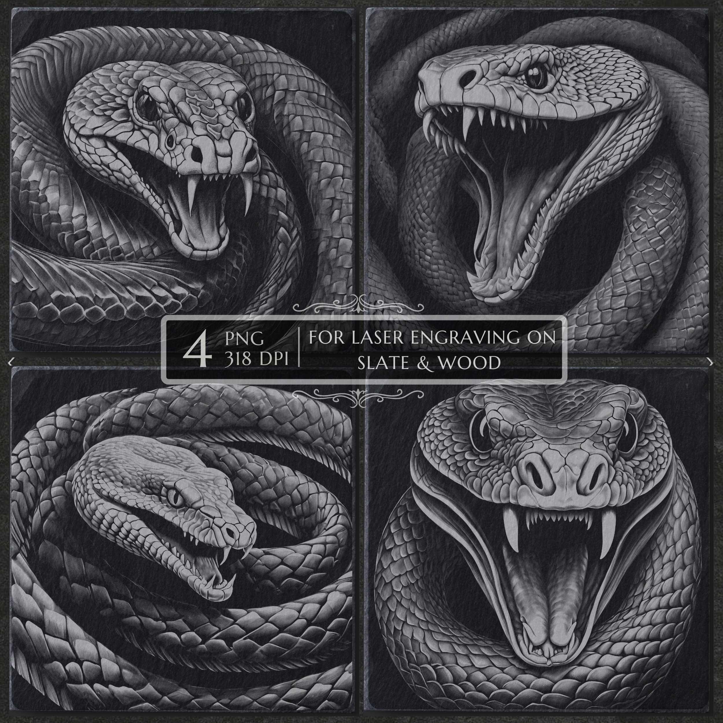 Python Snake Engraving Vector Snake PNG for Laser Engraving, Ball Python CNC File, Slate Engraving ...