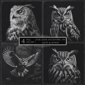 Horned Owl PNG Laser Engraving File, Owl Coaster Slate Wood Decor, Glowforge LightBurn CNC, Gift for Bird Lover, Owl Laser Burn PNG