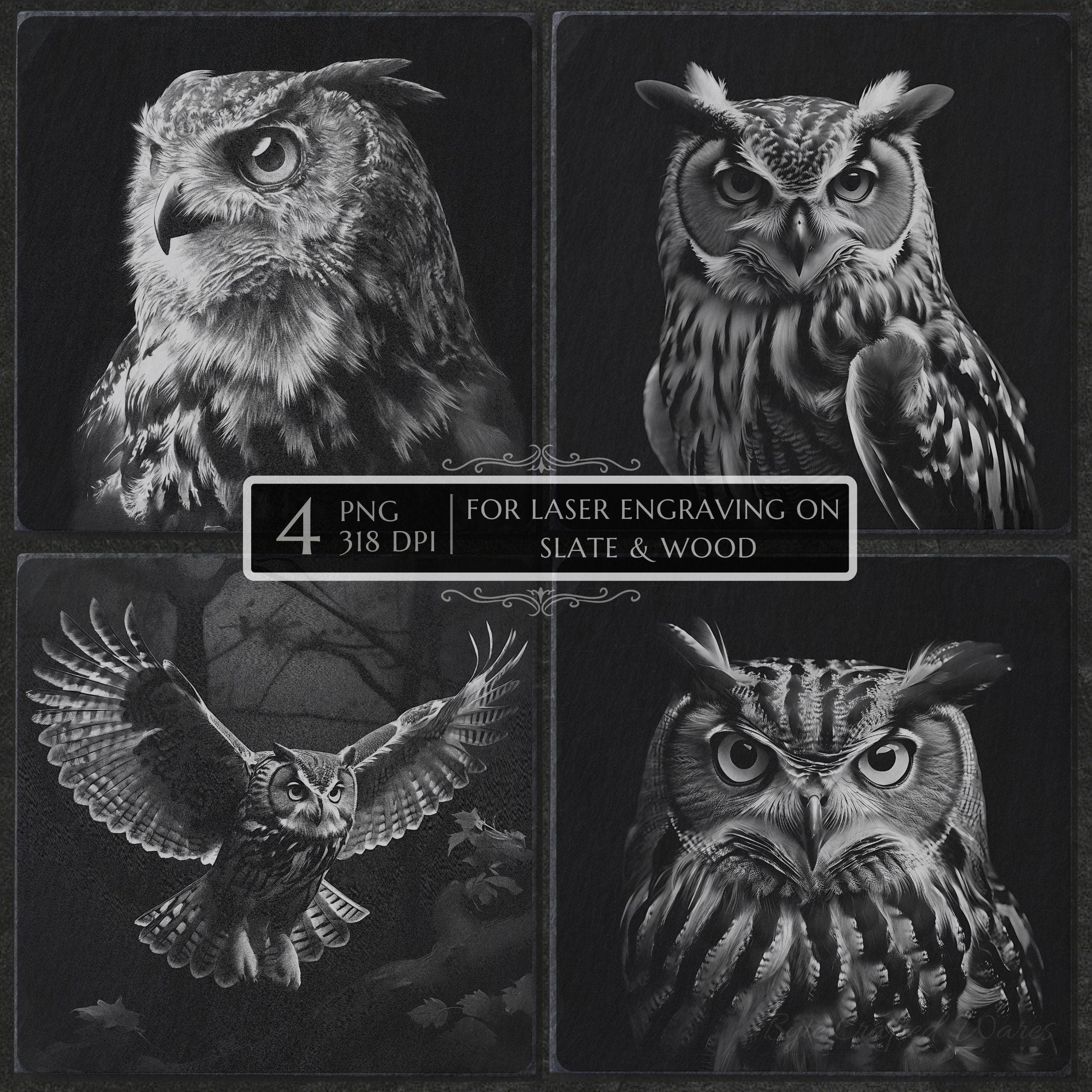 Horned Owl PNG Laser Engraving File, Owl Coaster Slate Wood Decor, Glowforge LightBurn CNC, Gift for Bird Lover, Owl Laser Burn PNG