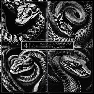 Ball python Snake laser engraving png, laser burn png, slate coaster etching file, wildlife reptile engraving art, Glowforge LightBurn CNC