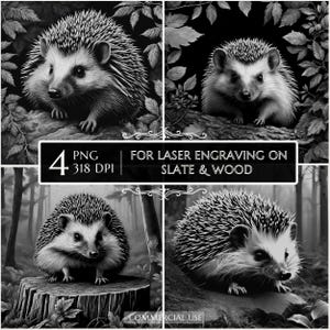 Forest Hedgehog PNG Laser Engraving File, Slate Coaster Animal, CNC Router xTool Glowforge LightBurn Ready Woodland Laser Art Laser burn png