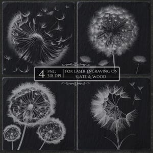 Dandelion Laser Engraving PNG, 3D Puff Flower Laser Burn File, Slate Wood Coaster Design, Glowforge LightBurn CNC xTool Bundle