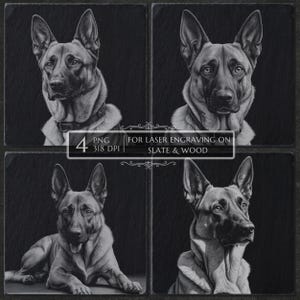 Può includere: Immagine a quattro pannelli con disegni a matita di un pastore tedesco. Il cane è raffigurato in diverse pose, con enfasi sulla testa e sulla parte superiore del corpo. Il testo recita "4 PNG 318 DPI FOR LASER ENGRAVING ON SLATE & WOOD."