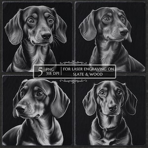 May include: A set of four black and white digital illustrations of a dachshund dog. The images are for laser engraving on slate and wood. 5 PNG files, 318 DPI.