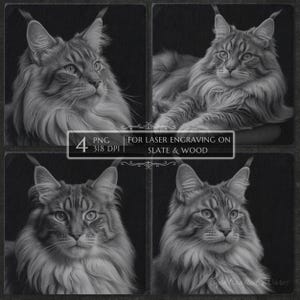 Maine Coon Cat PNG Engraving Bundle, Pet Memorial Slate Etching File, Laser Burn png, cat breed design, cnc laser file, slate cat sign