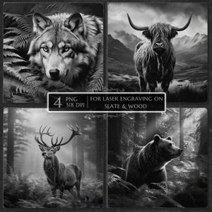 Wildlife Laser engraving png, laser burn png, slate coaster etching file, deer bear wolf cow laser design, Glowforge xTool LightBurn CNC