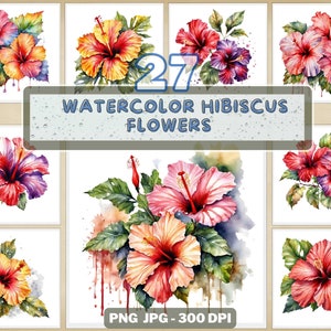 27 Watercolor Hibiscus Flowers Clipart PNG, Summer Flowers Clipart, Hibiscus Flower Clipart, Tropical Flowers, 300 DPI Transparent PNGs