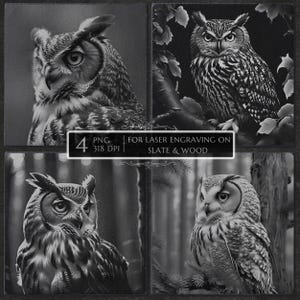Owl PNG Engraving File Bundle, 3D Illusion Laser Burn, Slate Etching Coaster, Glowforge Lightburn CNC,  owl coaster png, wildlife laser