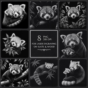 May include: A collection of eight grayscale images featuring red pandas. The images showcase red pandas in various poses, including cuddling, resting on bamboo, and nestled among leaves. The central image includes the text: "8 PNG 318 DPI FOR LASER ENGRAVING ON SLATE & WOOD."