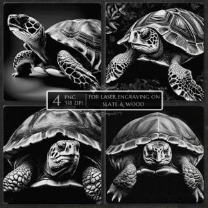 Op de afbeelding: Een grijswaardenafbeelding met vier gedetailleerde illustraties van zeeschildpadden. De schildpadden worden in verschillende poses getoond, waarbij hun schilden, vinnen en gezichten worden benadrukt. Tekst op de afbeelding luidt "4 PNG 318 DPI FOR LASER ENGRAVING ON SLATE & WOOD."