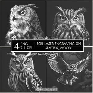 Horned Owl PNG Laser Engraving File, Owl Coaster Slate Wood Decor, Glowforge LightBurn CNC, Gift for Bird Lover, Owl Laser Burn PNG
