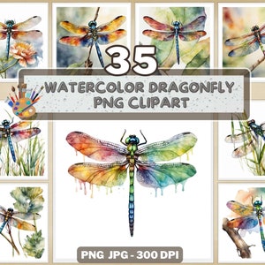 35 aquarel libel clipart-png | Transparante achtergrond | Libellenillustraties voor sublimatie en digitale kunst | Direct downloaden
