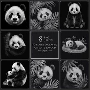 May include: A collection of eight black and white panda bear illustrations. The images feature pandas in various poses, including close-ups of their faces, sitting, and with bamboo. Text on the image reads: 8 PNG 318 DPI FOR LASER ENGRAVING ON SLATE & WOOD.