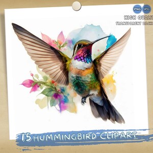 15 Hummingbird PNG Clipart - Bird Clipart - Bird Illustration - Hummingbird Bundle Images - Hummingbird Cut File, Downloadable Images