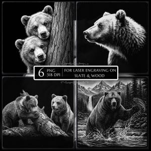 May include: Black and white illustrations of bears. One image shows two bear cubs peeking from behind a tree. Another depicts a bear's profile. The third shows two cubs near a log, and the last shows a bear catching a fish in a river. Text: "6 PNG 318 DPI FOR LASER ENGRAVING ON SLATE & WOOD."