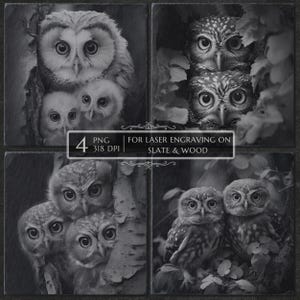 Owl Laser Engraving PNG Bundle, Baby Bird Owl File for Slate & Wood, Glowforge Lightburn CNC, Cute Owl Coaster SVG, Animal Laser Art
