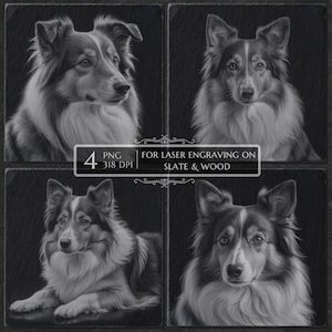 Shetland Sheepdog PNG for Laser Engraving, Dog Breed Laser Burn File, Slate Coaster Glowforge CNC, Sheltie Engraved Gift for Dog Lovers