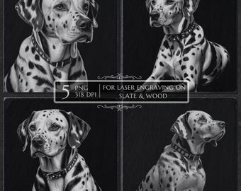 Puede incluir: Imagen en escala de grises que presenta cuatro retratos de un perro dálmata con manchas negras. El perro lleva un collar. La imagen incluye el texto "5 PNG 318 DPI FOR LASER ENGRAVING ON SLATE & WOOD".