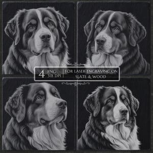 Bernese Mountain Dog PNG Engraving Bundle, Bernese Laser Burn Files, Slate Coaster Dog Breed, CNC Router, Glowforge, Lightburn etching File