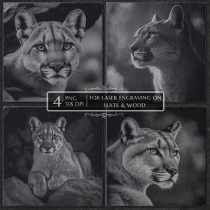 Mountain Lion PNG Laser Engraving File, Cougar Puma CNC Design, Slate Coaster Laser Burn, Wildlife Slate Decor, Glowforge xTool File, Gift