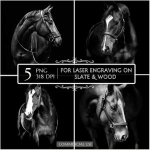 5 Black Horse PNG for CNC Laser Engrave, Stallion 3D, Slate Wood Engraving, Slate Board Coaster, Glowforge LightBurn CNC Projects cnc Router