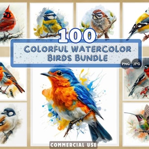 Pacote com 100 clipart de pássaros PNG – Sublimação de pássaros em aquarela colorida, arte da natureza e vida selvagem para cartões, canecas, scrapbooking, download digital