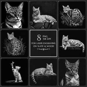 Peut inclure: Une collection de huit illustrations de chats en noir et blanc, adaptées à la gravure laser sur ardoise et bois. Les images présentent diverses poses de chats, notamment des portraits et des chats dans des environnements naturels. Le texte dans l'image indique "8 PNG 318 DPI POUR LA GRAVURE LASER SUR ARDOISE ET BOIS."
