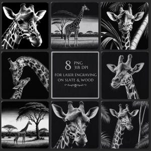 May include: A collection of eight black and white giraffe images, suitable for laser engraving on slate and wood. The images include close-up portraits, giraffes in natural settings, and a mother and baby giraffe. The text in the image reads "8 PNG 318 DPI FOR LASER ENGRAVING ON SLATE & WOOD".