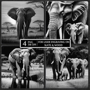 May include: Black and white digital art featuring four different images of elephants. The images include a full body shot of an elephant in a grassy field, close-ups of elephant faces, and groups of elephants. Text on the image reads "4 PNG 318 DPI FOR LASER ENGRAVING ON SLATE & WOOD."