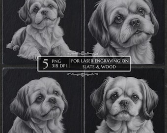 Op de afbeelding: Een set van vier zwart-wit digitale illustraties van een Shih Tzu hond, elk in een andere pose. De centrale tekst luidt 5 PNG 318 DPI FOR LASER ENGRAVING ON SLATE & WOOD. De afbeeldingen tonen gedetailleerde vachtstructuren en gezichtskenmerken.