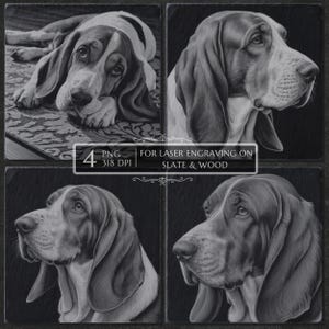 May include: A grayscale image featuring four panels of a Basset Hound. The top left panel shows the dog lying down, while the other panels show close-up profiles. The image includes text: "4 PNG 318 DPI FOR LASER ENGRAVING ON SLATE & WOOD."