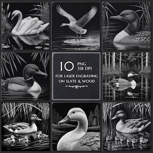 10 Lake Birds PNG Engraving Bundle, Loon Swan Goose Duck Laser Burn Files, Slate Engraving PNG, CNC Router, Glowforge, Lightburn File