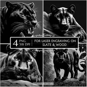 May include: Four black and white digital images of a panther. The images are for laser engraving on slate and wood. The images are 318 DPI.