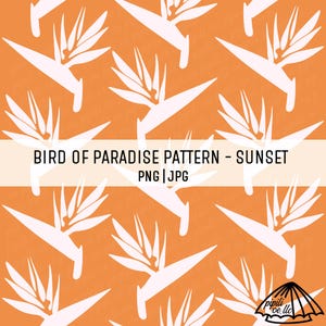 Bird of Paradise - Sunset - Background Seamless Pattern - Bird of Paradise PNG for Sublimation - Custom Fabric Tropical PNG - Hawaii Repeat