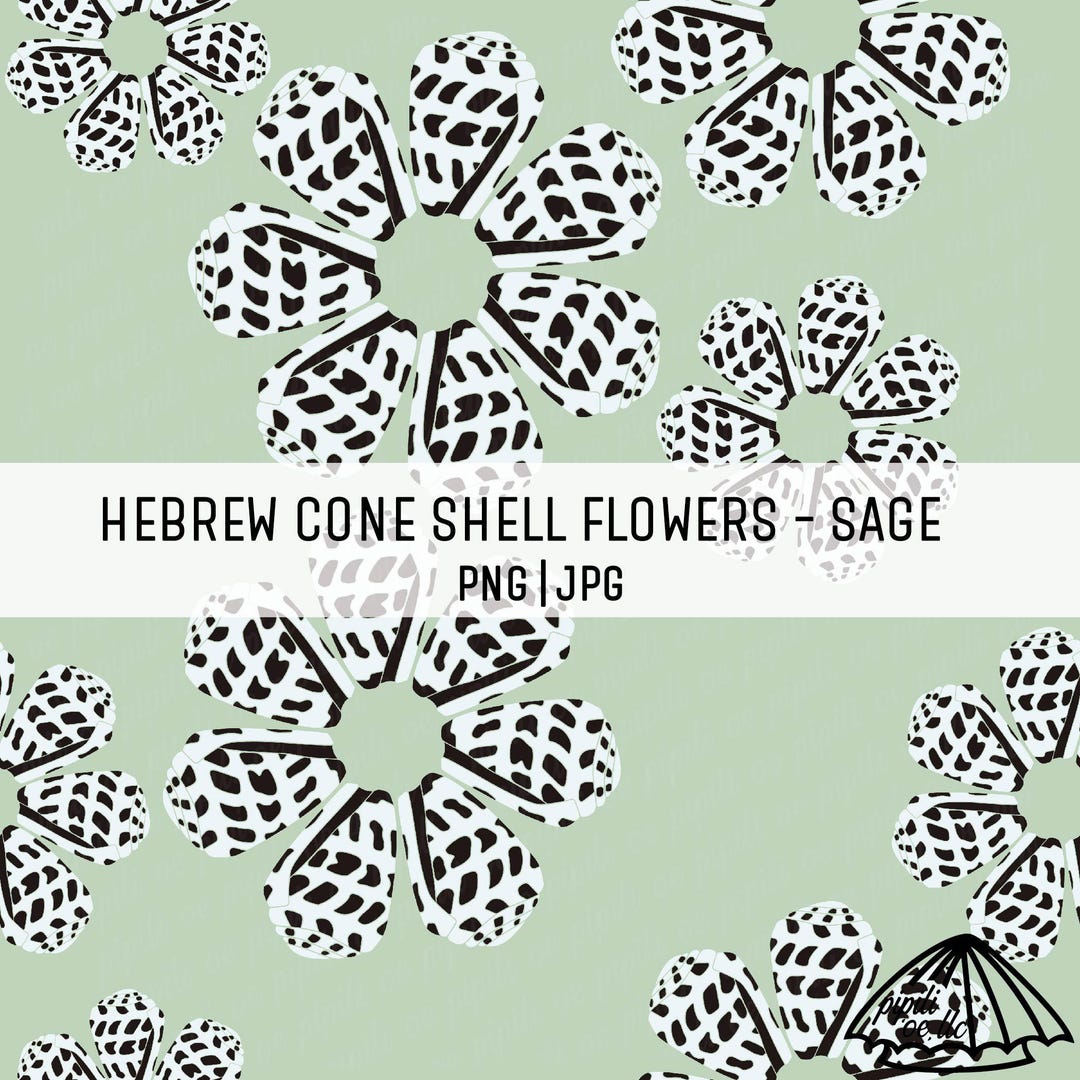 Hebrew Cone Shell Pattern Hebrew Cone Shell Flowers - Sage - Sea Shell Pattern - Seamless Pattern ...