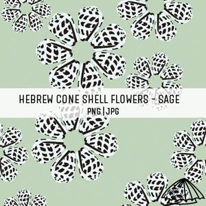 Hebrew Cone Shell Flowers - Sage - Sea Shell Pattern - Seamless Pattern for Sublimation - Hawaii Shell Seamless Pattern - Digital Print PNG