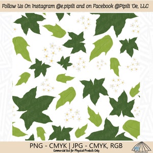 Kukui Flowers and Leaves Repeating Pattern - White Background - Kukui Nut Flower Pattern - Kukui Leaf Seamless - Hawaii Repeating Pattern
