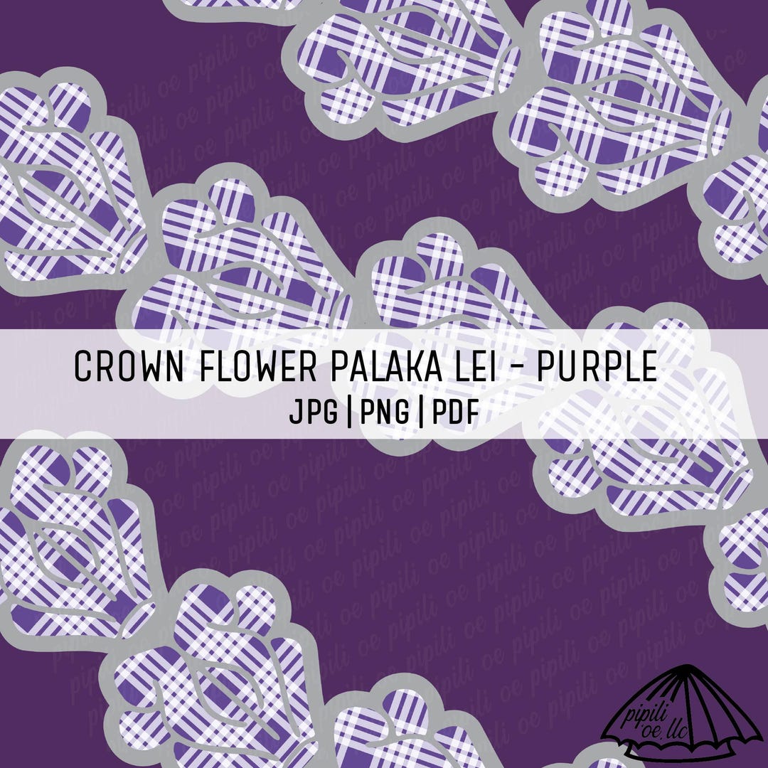 クラウンフラワー苗木（パープル）2年生 クラウンフラワー苗木