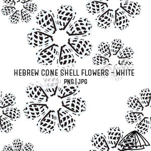 Hebrew Cone Shell Flowers - White - Sea Shell Pattern - Seamless Pattern for Sublimation - Hawaii Shell Seamless Pattern - Digital Print PNG