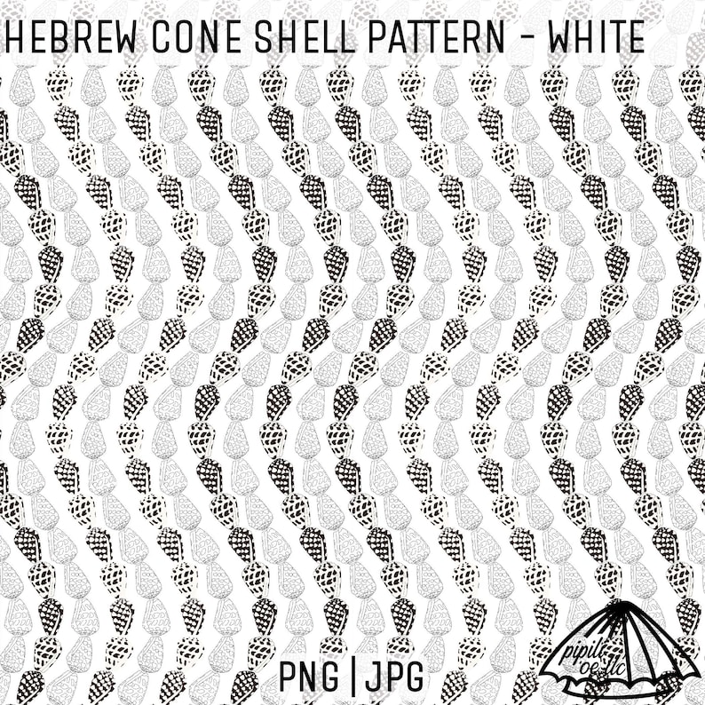 Hebrew Cone Shell Pattern - White - Hawaii Shell Pattern - Fabric ...